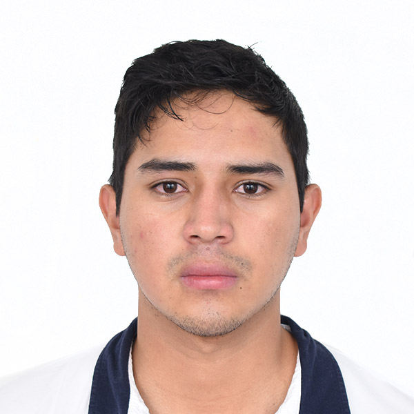 Dalembert Bravo